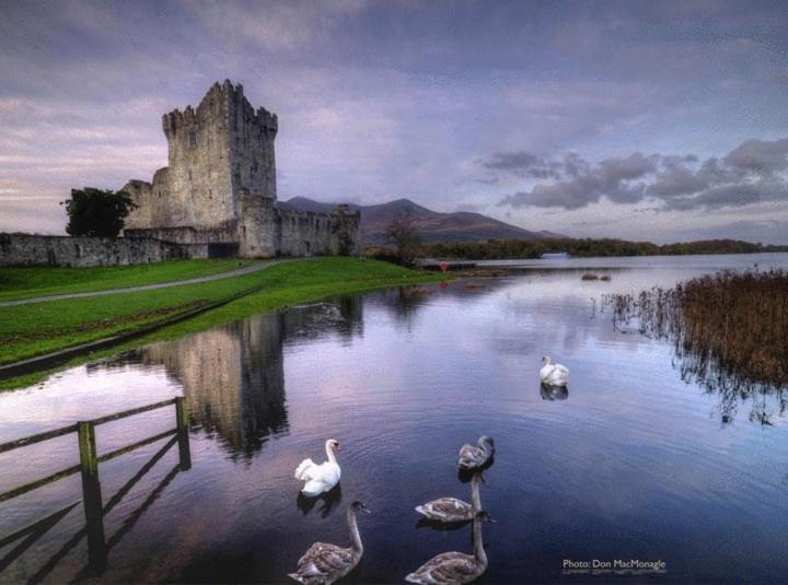 Kathleens Country House Lower Coolcorcoran Bagian luar foto