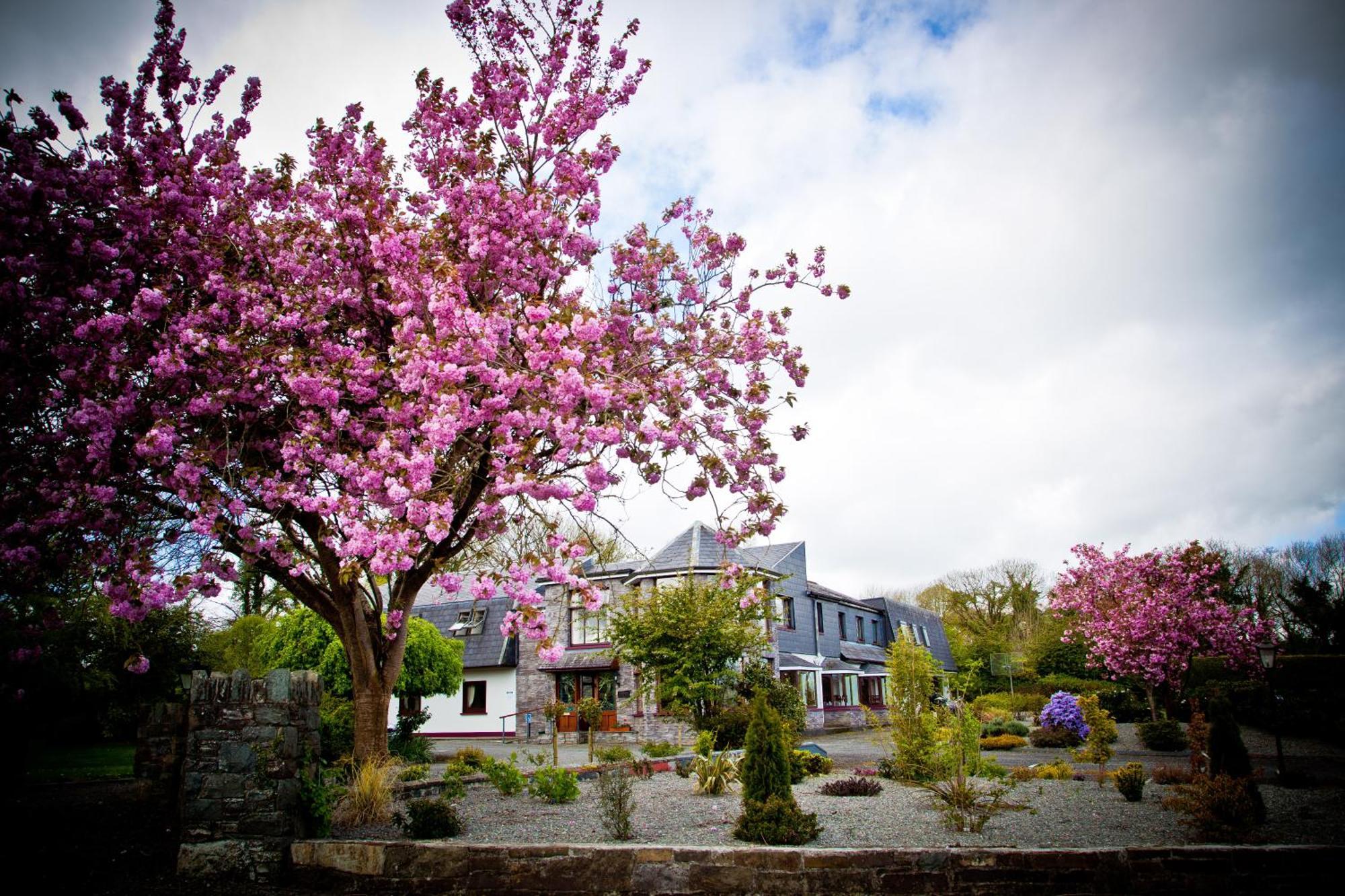 Kathleens Country House Lower Coolcorcoran Bagian luar foto