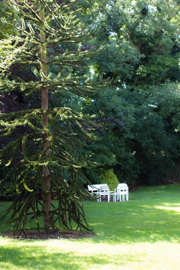 Kathleens Country House Lower Coolcorcoran Bagian luar foto